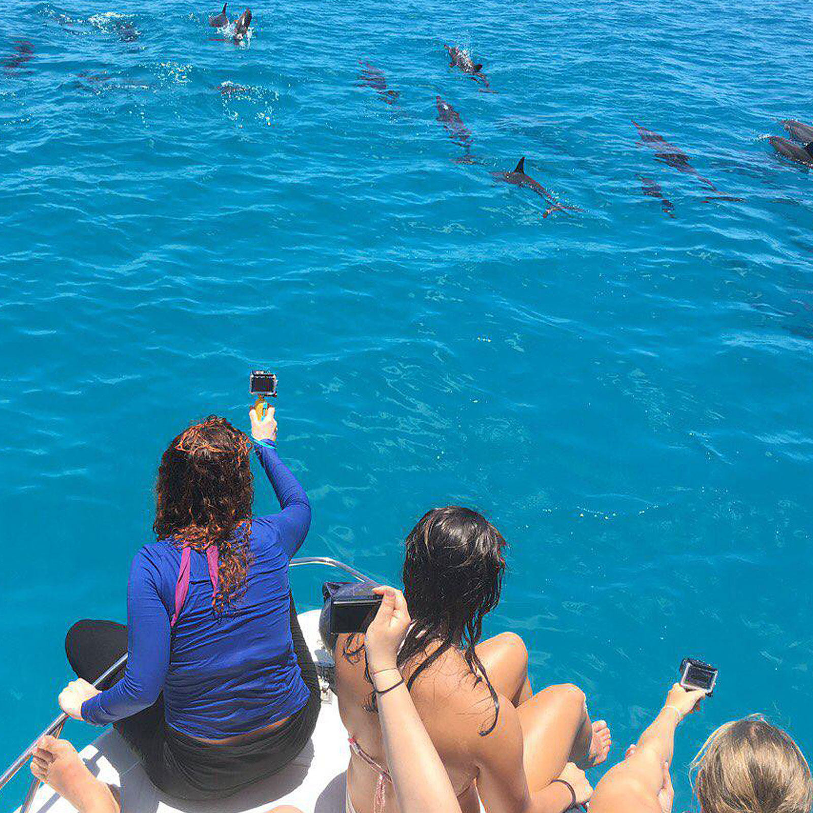 Gulhi Dolphin Watching Tours