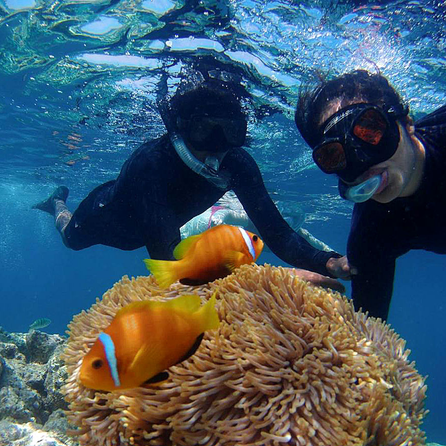 Snorkelling Tours in Gulhi