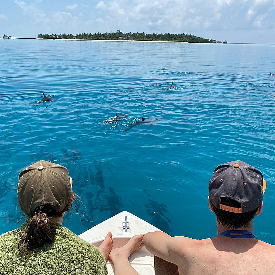 Swimming with Dolphins Gulhi