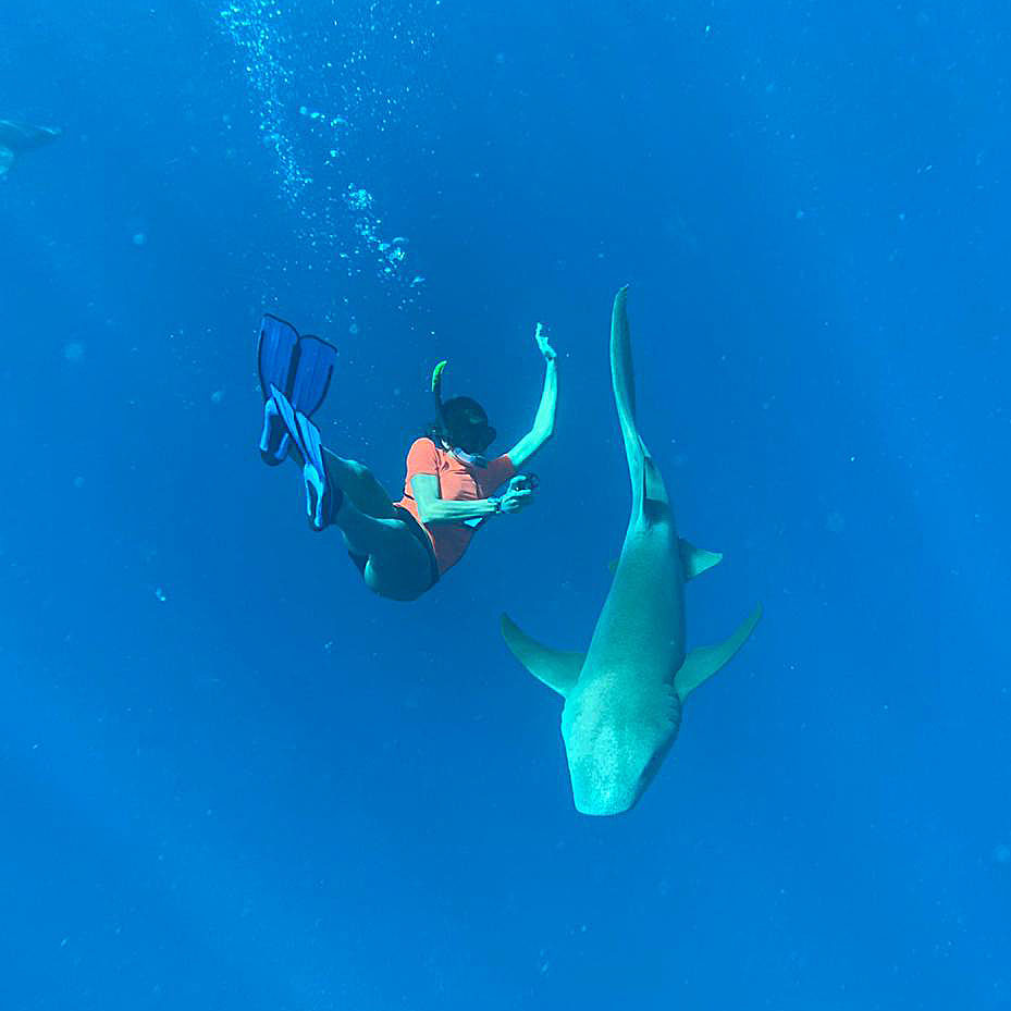 Swimming with Nurse Shark Tours Gulhi